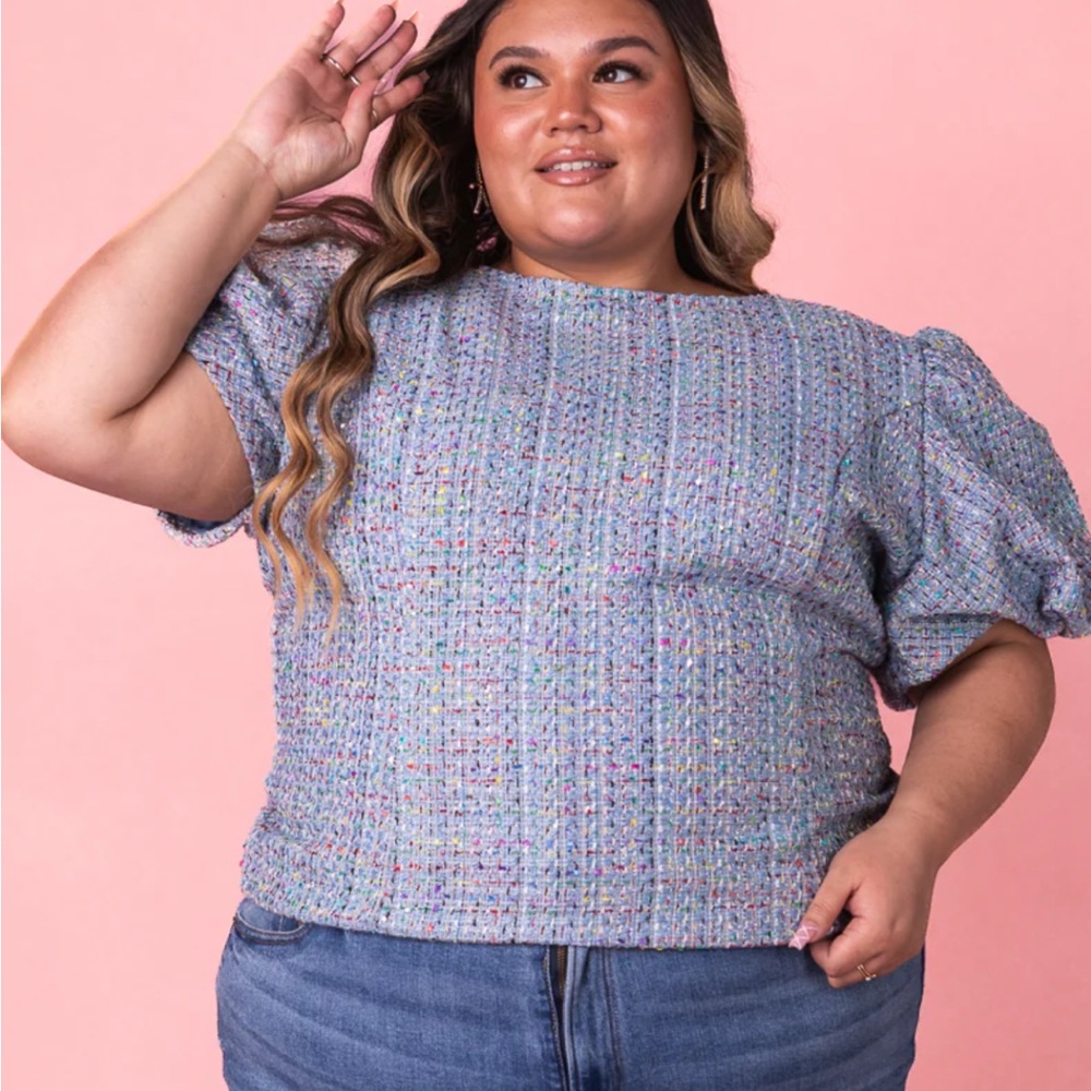 Ivy City Co Reese Blue Tweed Top 3x